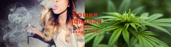 молекула духа Ростов