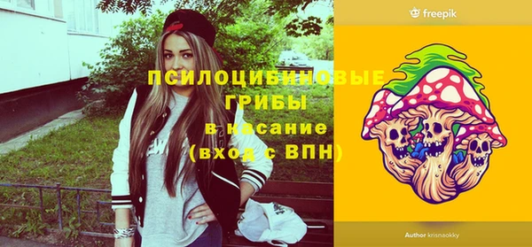 PSILOCYBIN Армянск