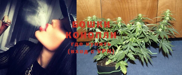 PSILOCYBIN Армянск