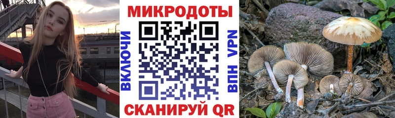 сколько стоит  нарко площадка какой сайт  Галлюциногенные грибы Psilocybine cubensis  Куса 